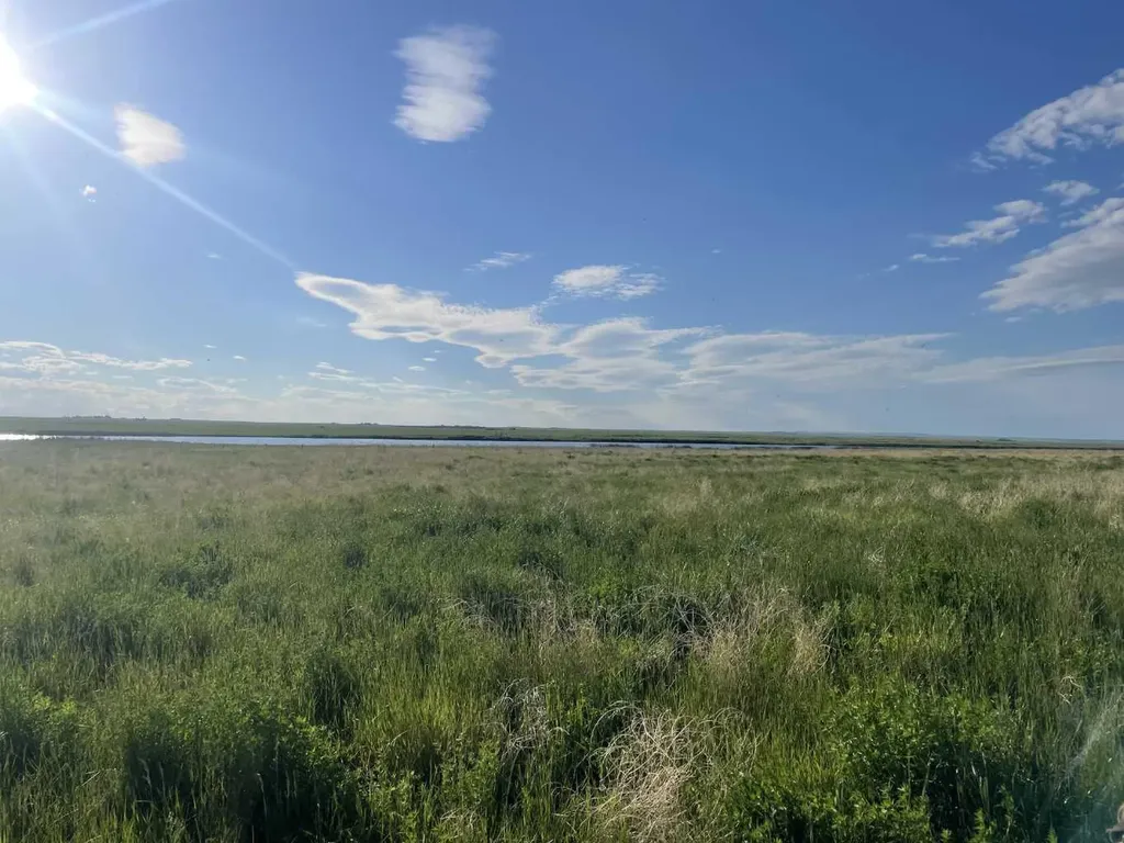 Township Road 182 Township Road 182 Brant AB T0L 0L0