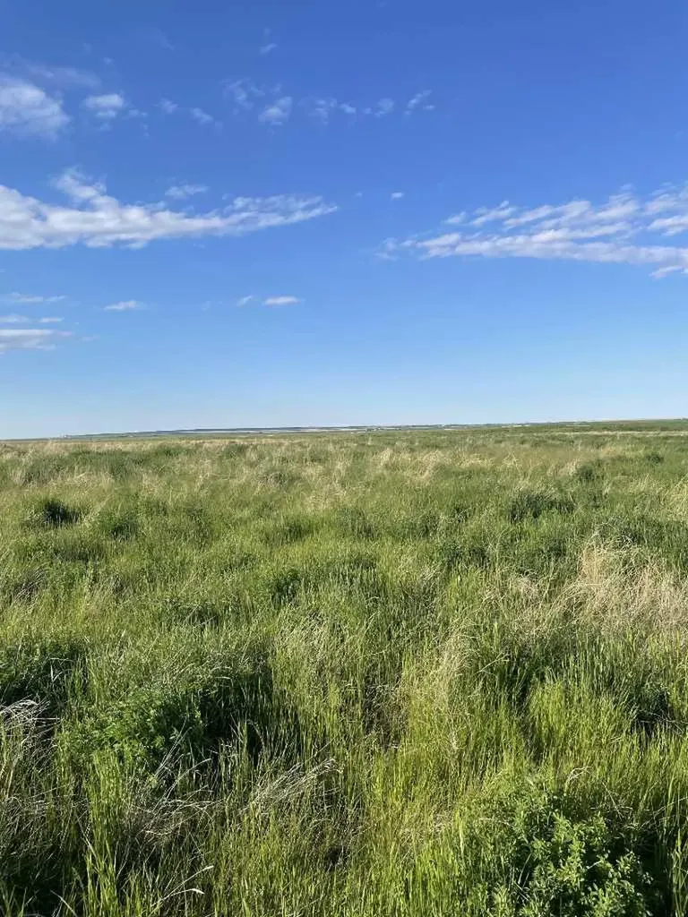 Township Road 182 Township Road 182 Brant AB T0L 0L0