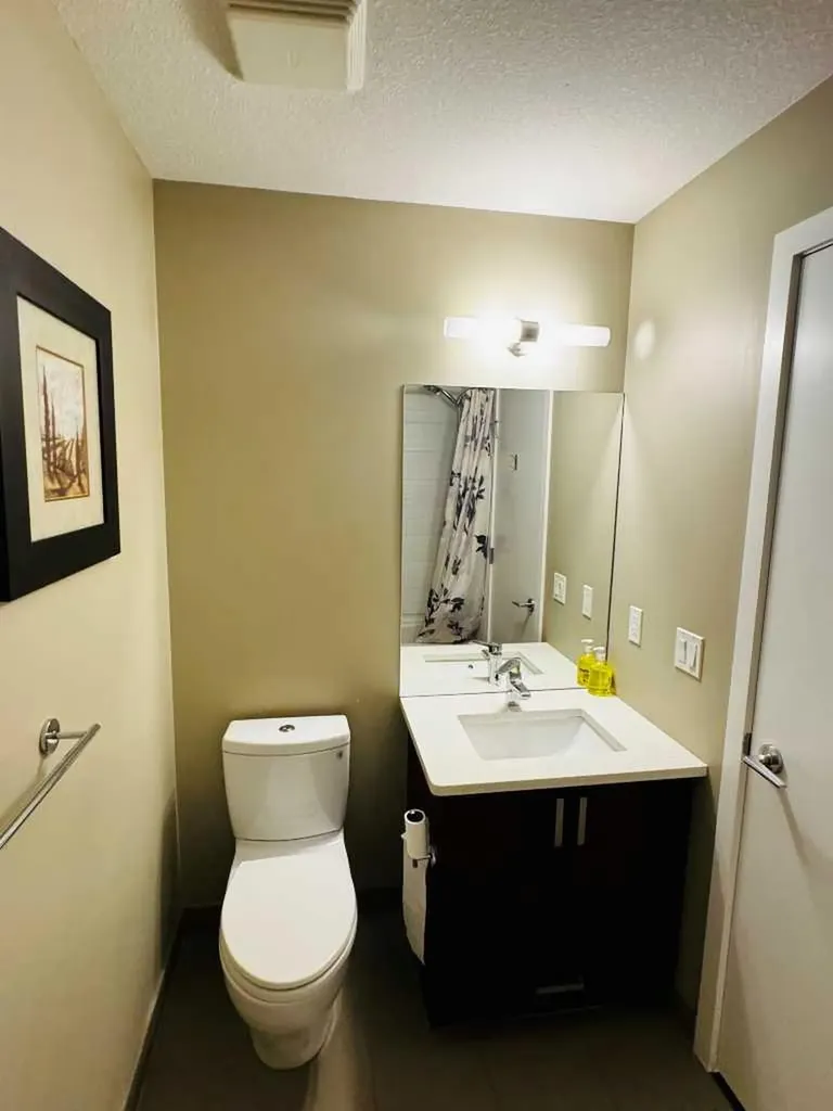 16 Auburn Bay Link SE Calgary AB T3M 1Z6