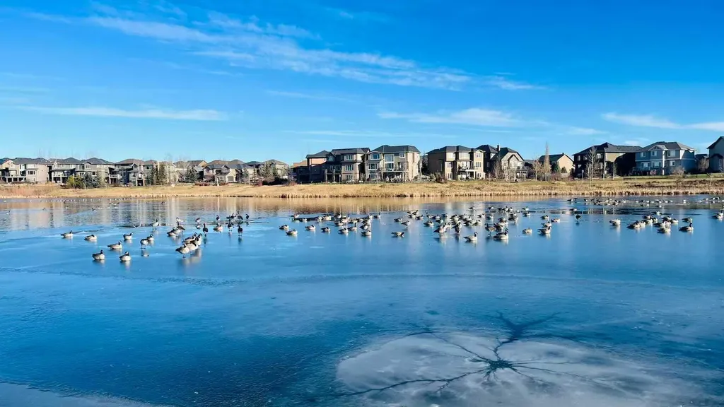 147 Panatella Hill Calgary AB T3K0S7