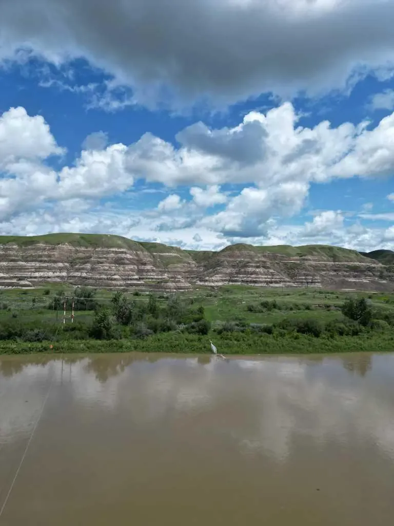 4 Willow Point Drumheller AB T0J 0Y5