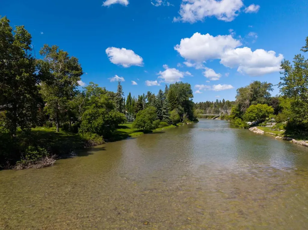 708 Riverdale Avenue SW Calgary AB T2S 0Y3