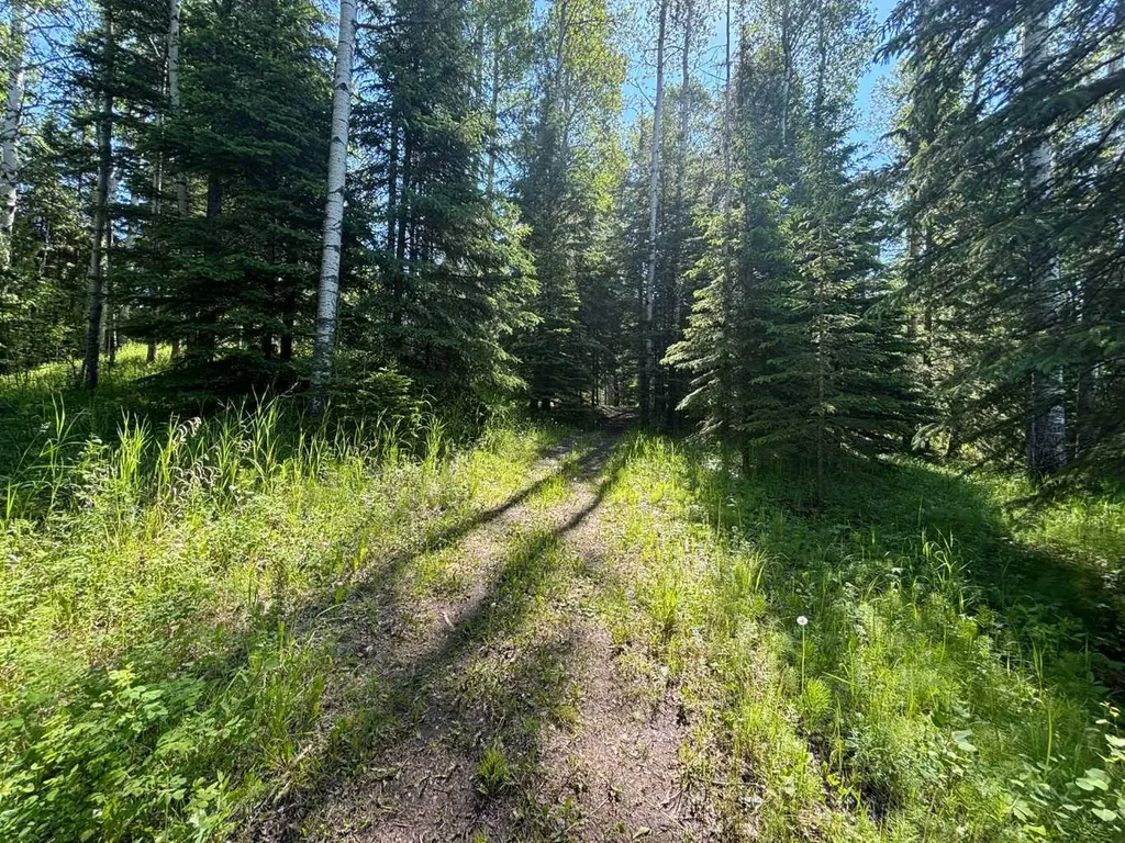 590039 Range Road 113a Rural Woodlands County AB T7S1N7