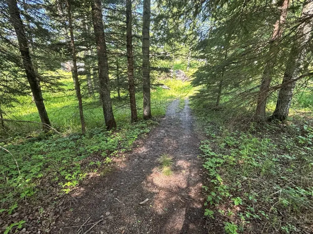 590039 Range Road 113a Rural Woodlands County AB T7S1N7