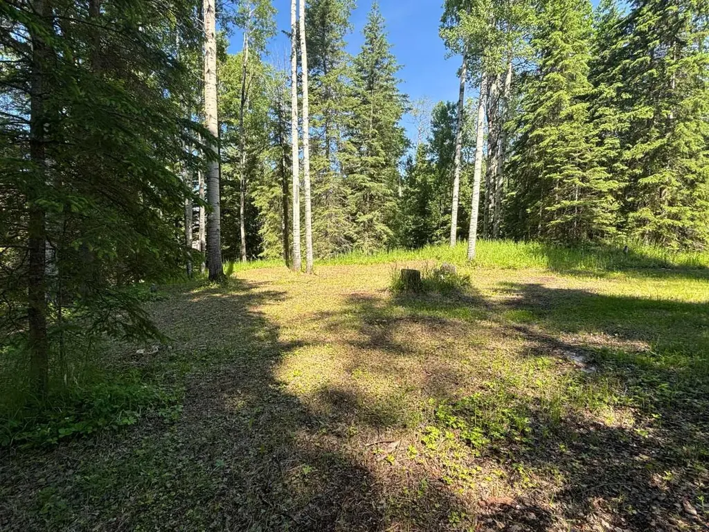 590039 Range Road 113a Rural Woodlands County AB T7S1N7