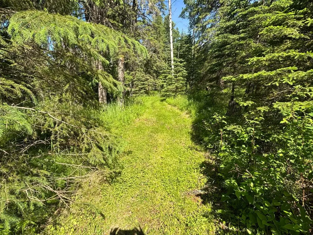 590039 Range Road 113a Rural Woodlands County AB T7S1N7