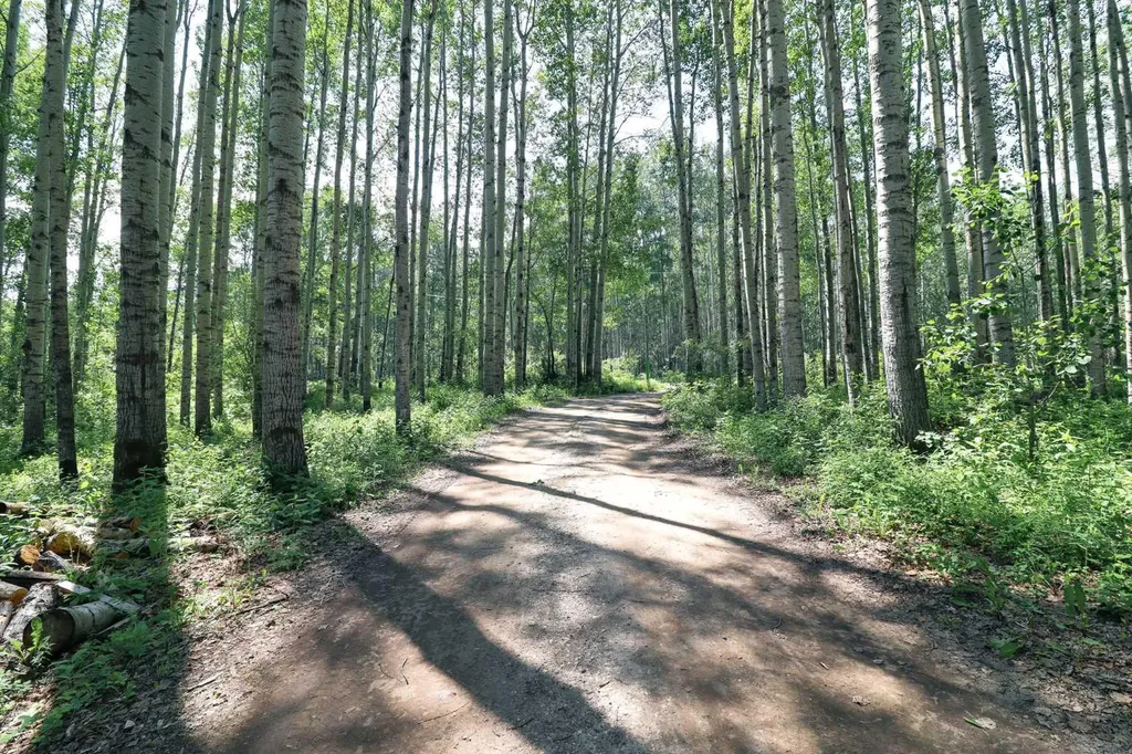 6316 Twp Road 694 Grovedale AB T0H 1X0