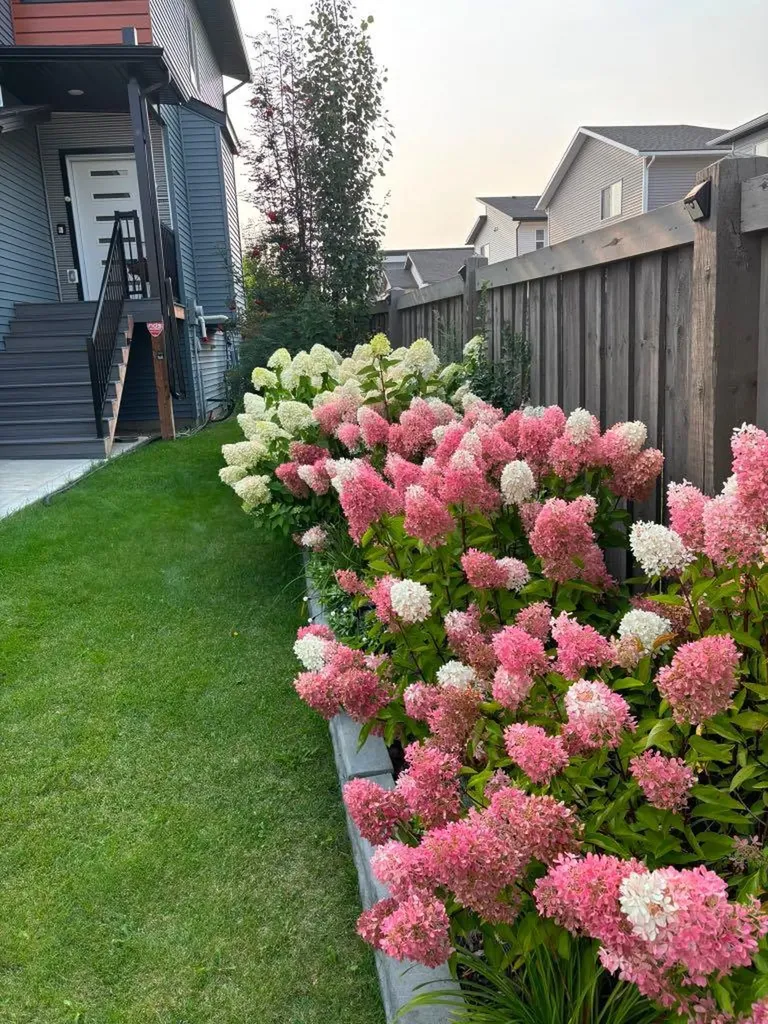 7122 86 Street Grande Prairie AB T8X 0N9