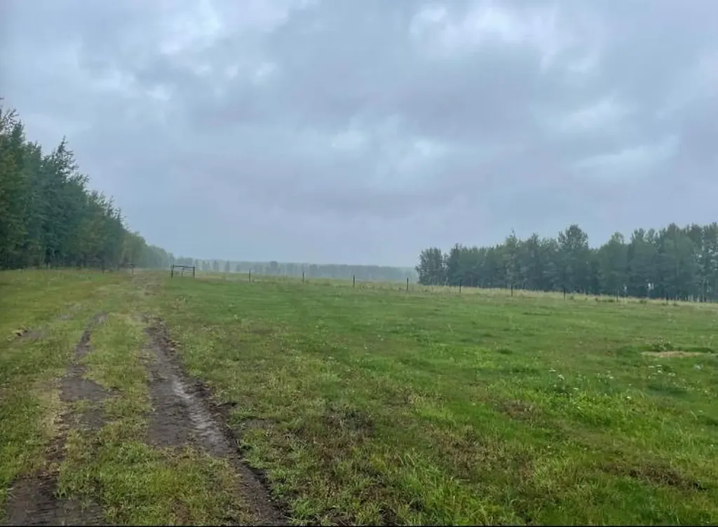 53032 Range Road 103 Wildwood AB T0E 2M0
