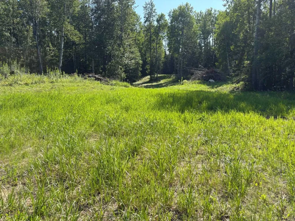62 Lakeview Heights Canyon Creek AB T0G 0M0