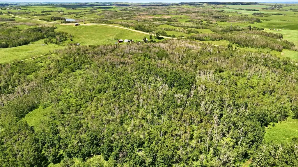 23221 Township Road 394 Rural Lacombe County AB T0C 0B0