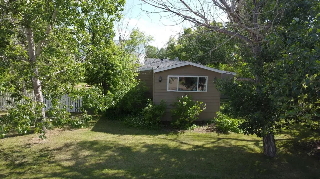 319 2 Avenue SE Youngstown AB T0J3P0