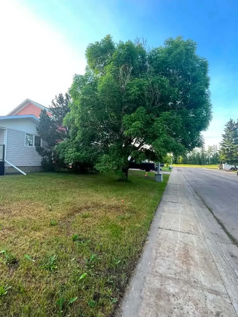 116 Rowan Street Fort Mcmurray AB T9H 2Y5