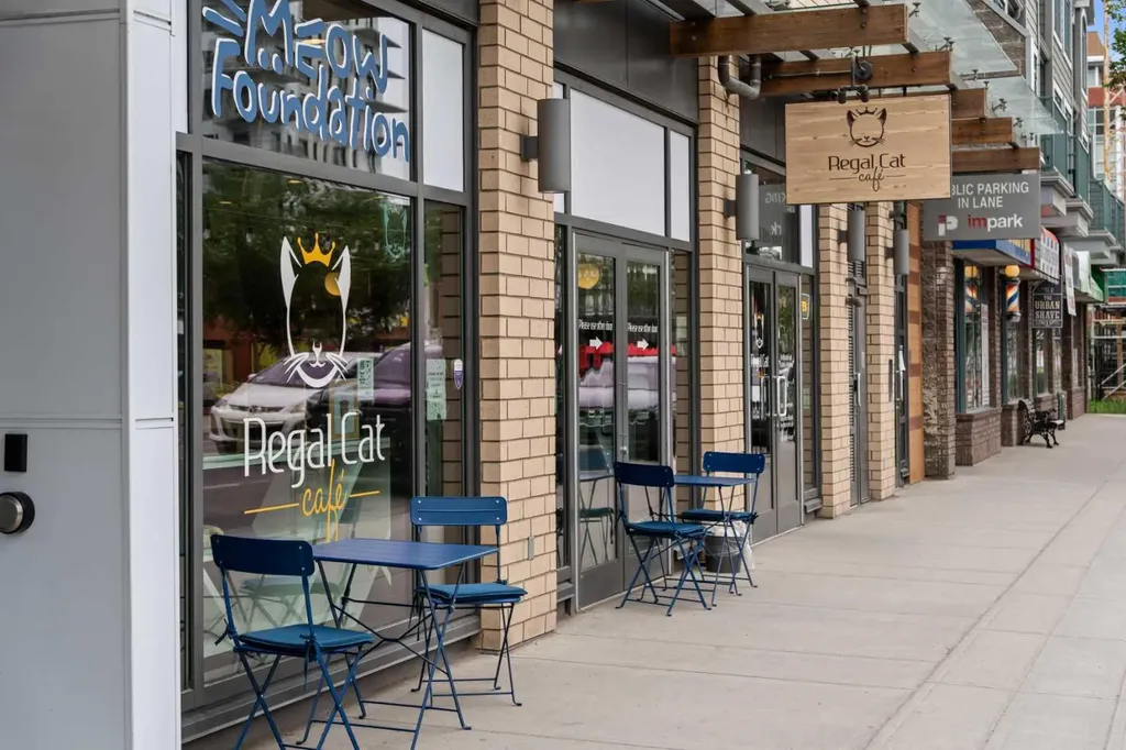 235 9a Street NW Calgary AB T2N 4H7