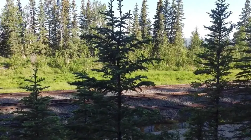 Sw, Ne, NW 28-52-23-w5 Obed Mountain Road Rural Yellowhead County AB T7V1A0