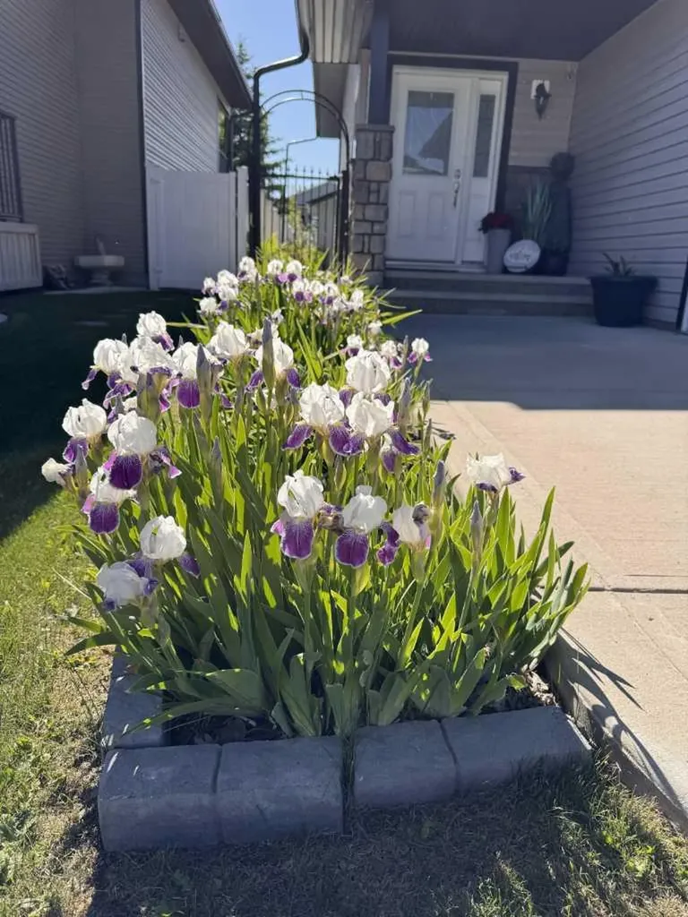 135 Stephenson Crescent Red Deer AB T4R 0L6
