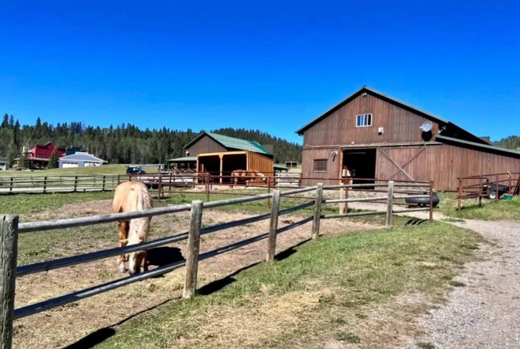 59 Cowboy Trail Rural Foothills County AB T0L 1K0