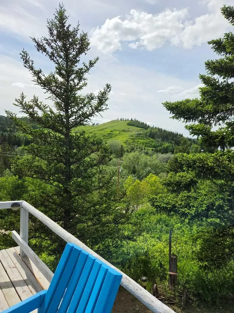 26 Lakeview Drive Rural Cypress County AB T0J1C0
