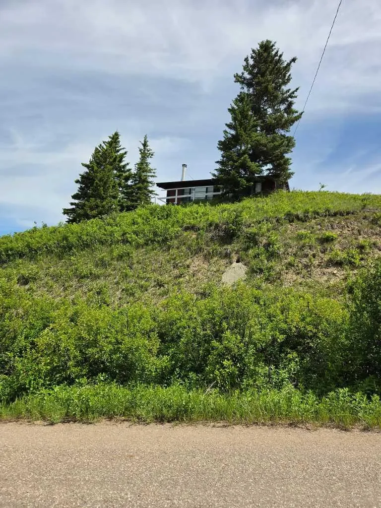 26 Lakeview Drive Rural Cypress County AB T0J1C0