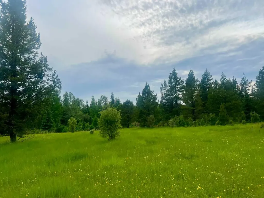 Lot 7 Twp Road 534 Rural Yellowhead County AB T7E 1V6