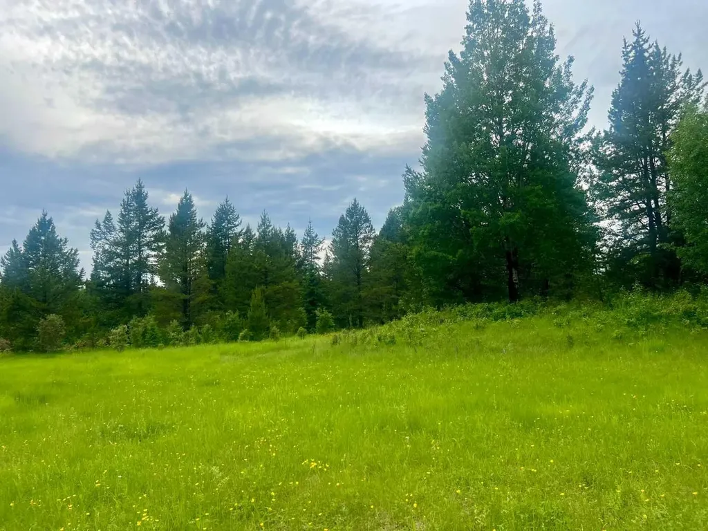 Lot 7 Twp Road 534 Rural Yellowhead County AB T7E 1V6