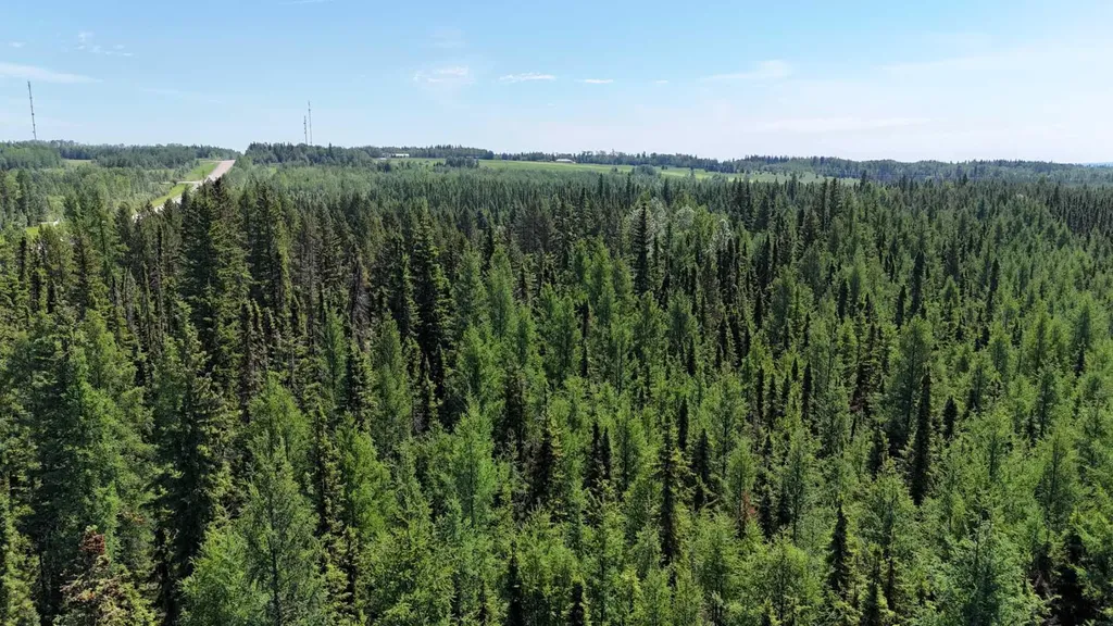Lot 7 Twp Road 534 Rural Yellowhead County AB T7E 1V6