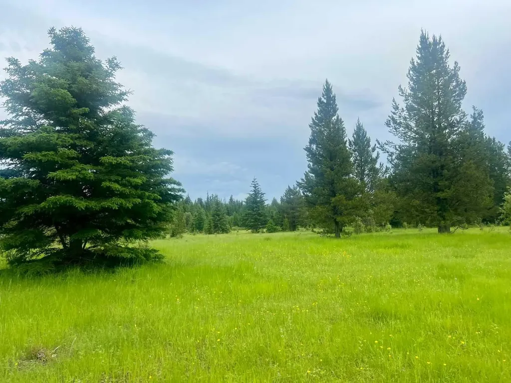 Lot 7 Twp Road 534 Rural Yellowhead County AB T7E 1V6