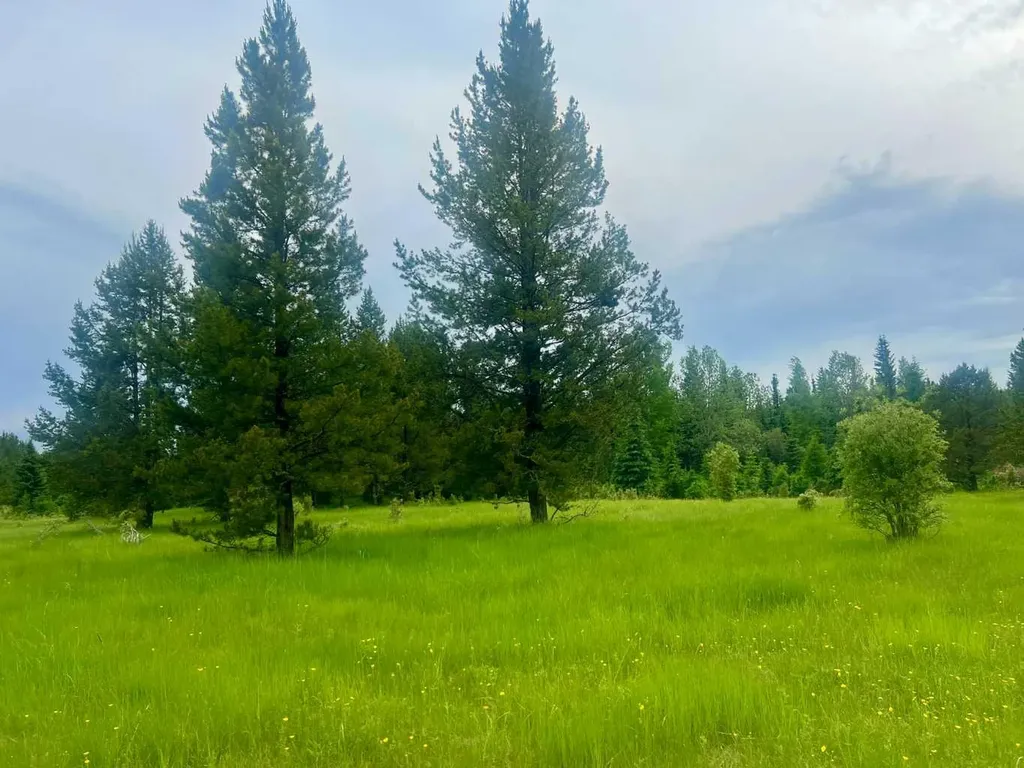 Lot 7 Twp Road 534 Rural Yellowhead County AB T7E 1V6