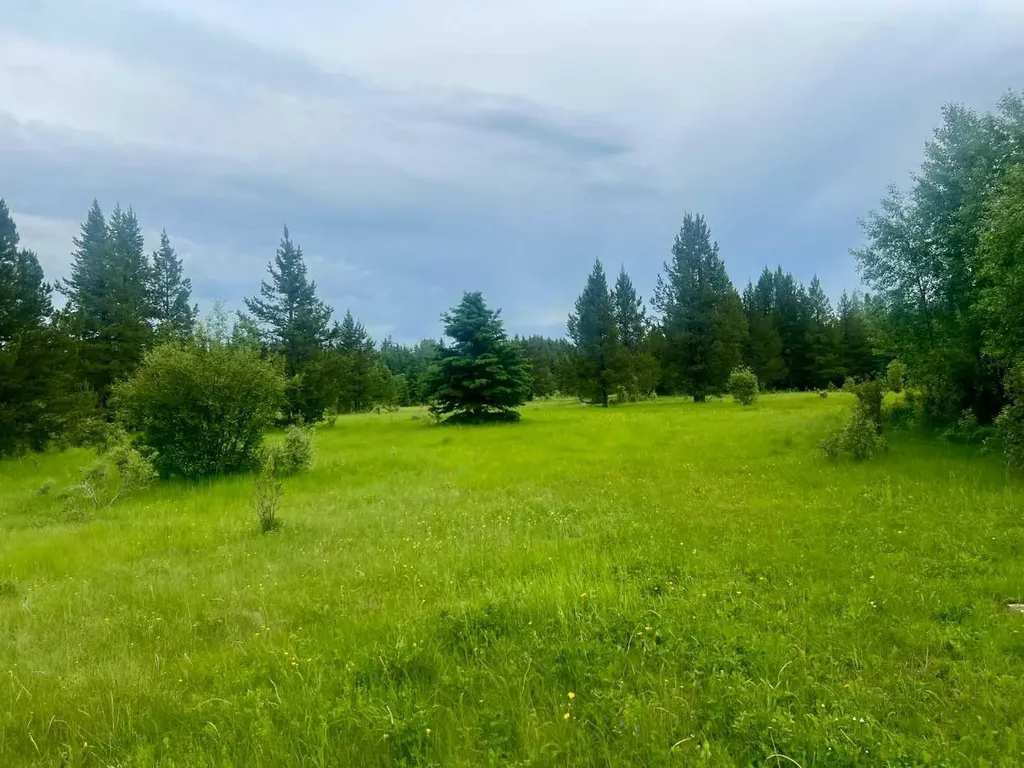 Lot 7 Twp Road 534 Rural Yellowhead County AB T7E 1V6