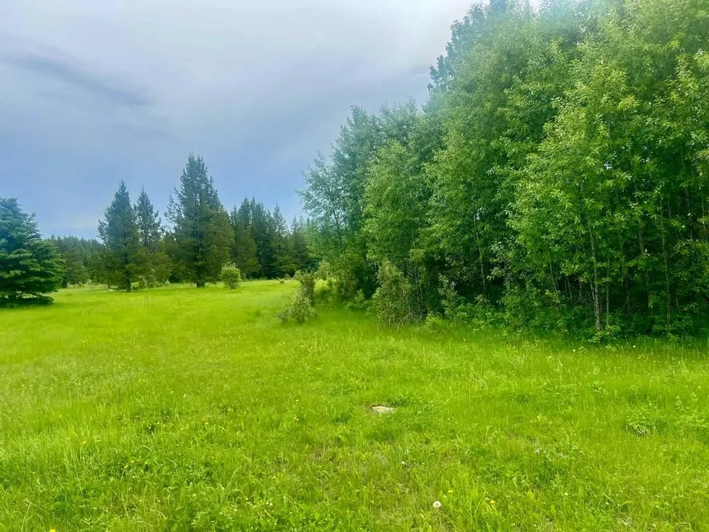 Lot 7 Twp Road 534 Rural Yellowhead County AB T7E 1V6