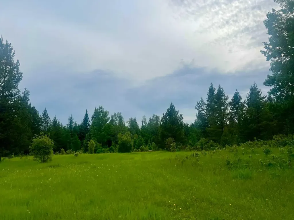 Lot 7 Twp Road 534 Rural Yellowhead County AB T7E 1V6