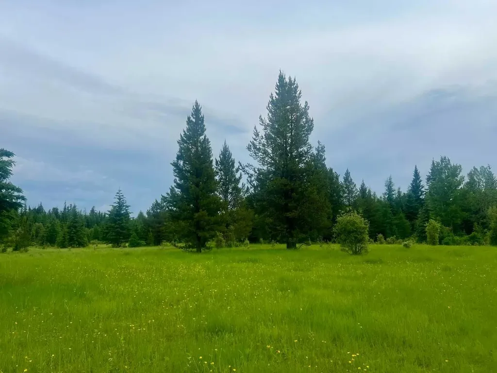 Lot 7 Twp Road 534 Rural Yellowhead County AB T7E 1V6