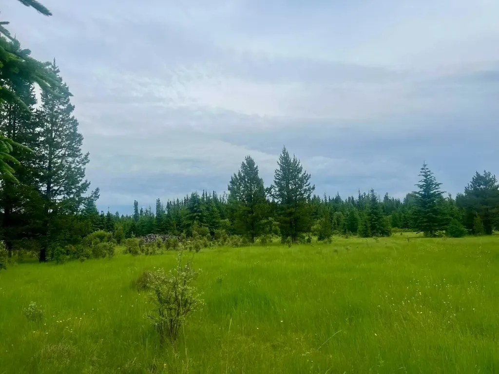 Lot 7 Twp Road 534 Rural Yellowhead County AB T7E 1V6