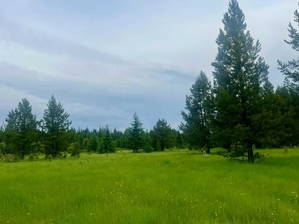 Lot 7 Twp Road 534 Rural Yellowhead County AB T7E 1V6