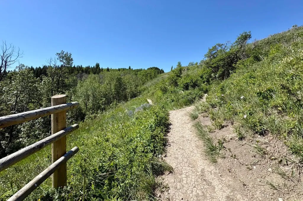 86 Tuscany Ravine Road NW Calgary AB T3L 2R9