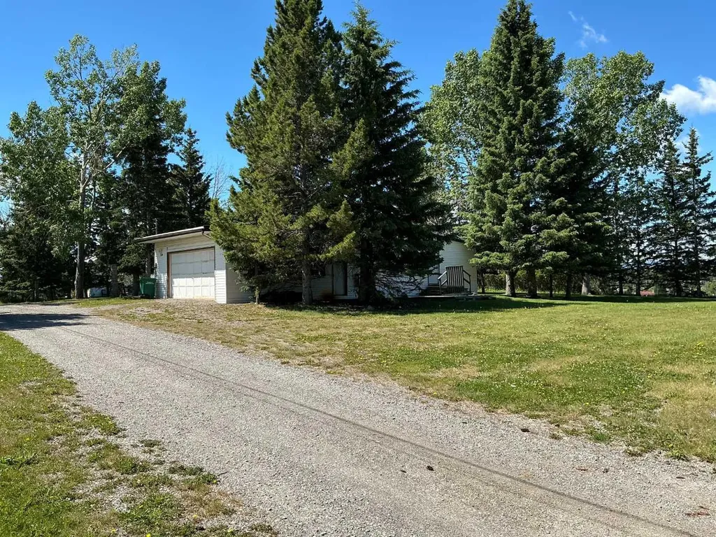 299 3rd Avenue SE Diamond Valley AB T0L 0H0