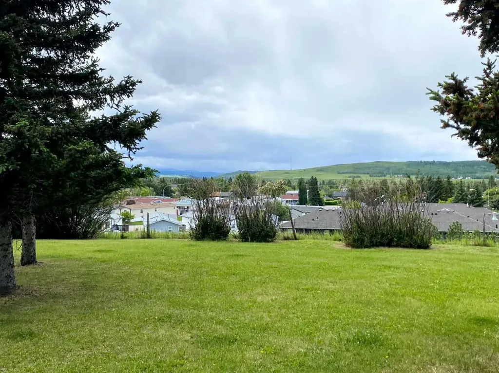 299 3rd Avenue SE Diamond Valley AB T0L 0H0