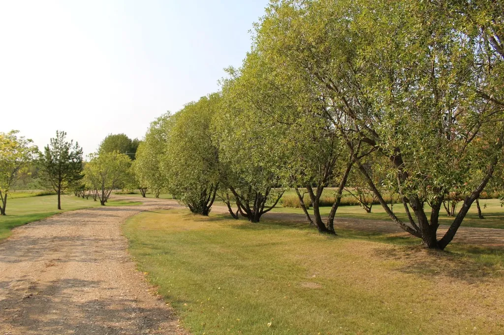 702041 Rge Road 172 Breynat AB T0A 3M0