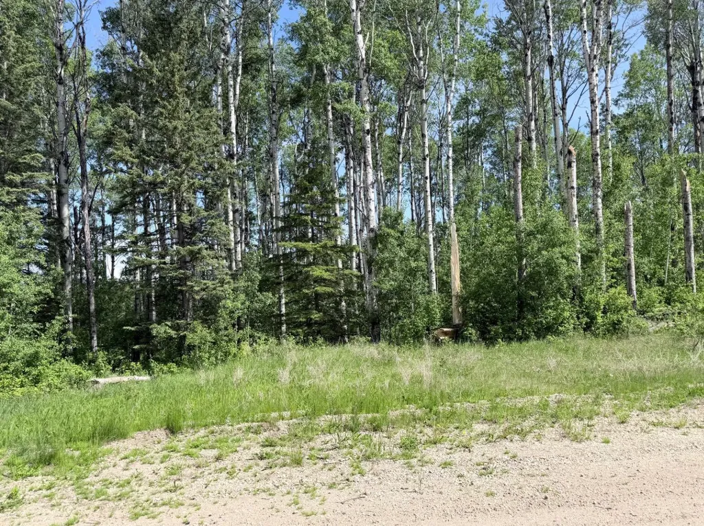 Block 1 Lot 7 Elk Ridge Estates Rural Woodlands County AB T7S 1N9