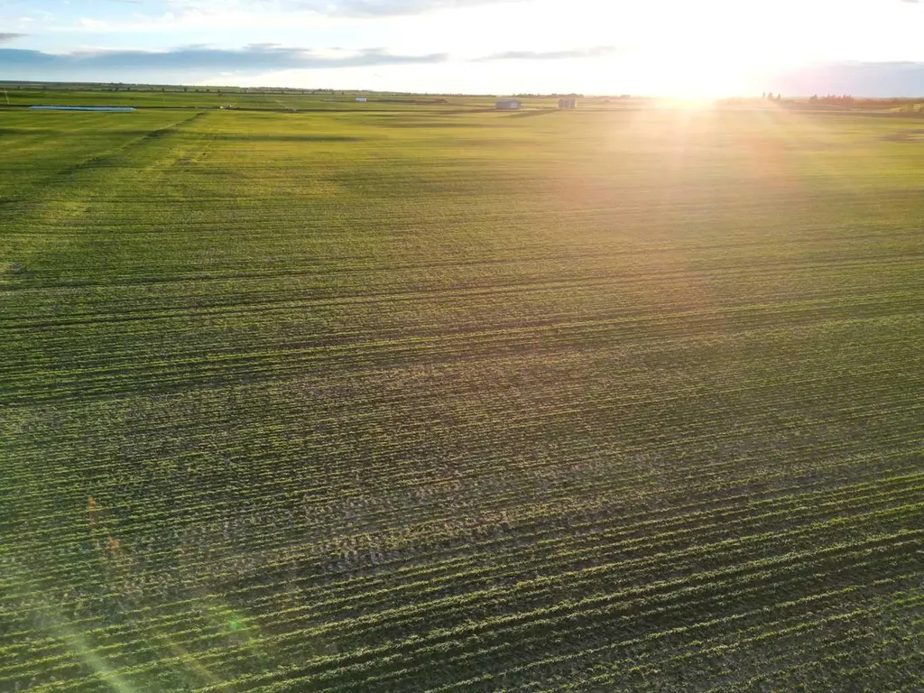 Hwy 556 Rr 274 Rural Rocky View County AB T4J1A1