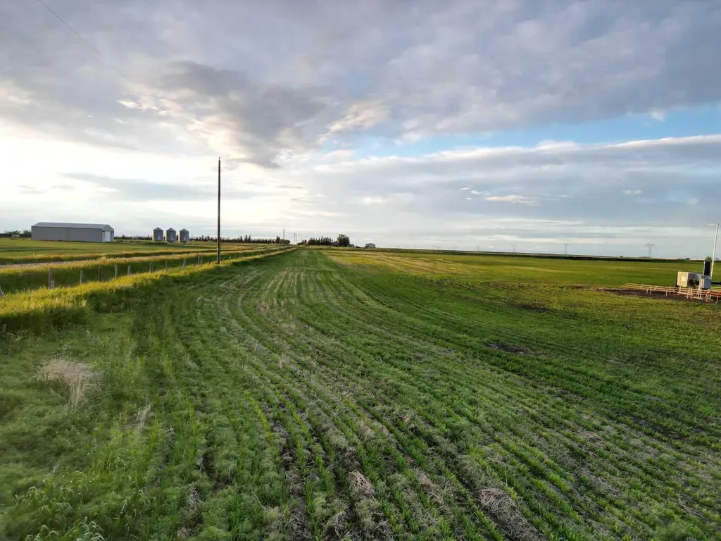 Hwy 556 Rr 274 Rural Rocky View County AB T4J1A1