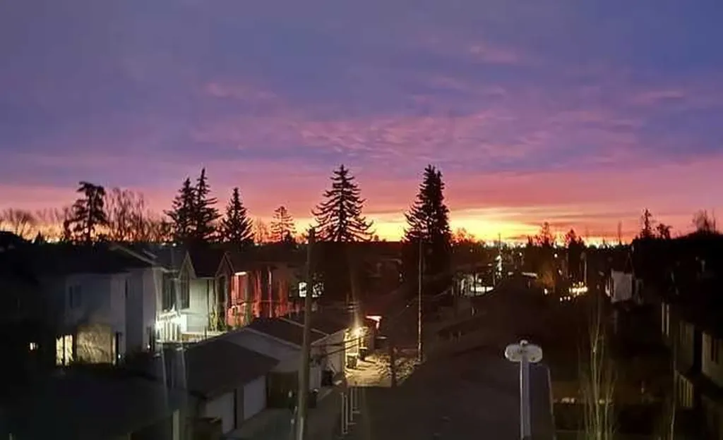 4929 20 Street SW Calgary AB T2T 5A4