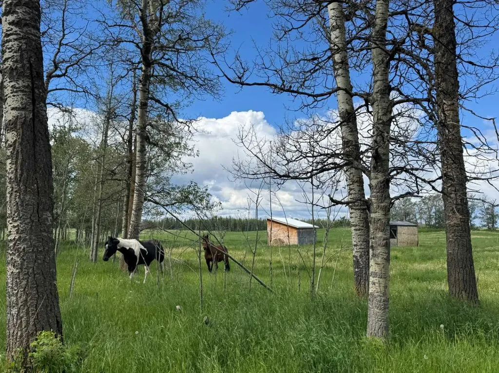 383034 Range Road 42 Rural Clearwater County AB T0M 0X0