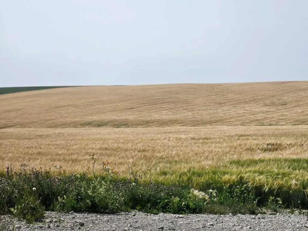 Symons Valley Rural Rocky View County AB T4B 3L5