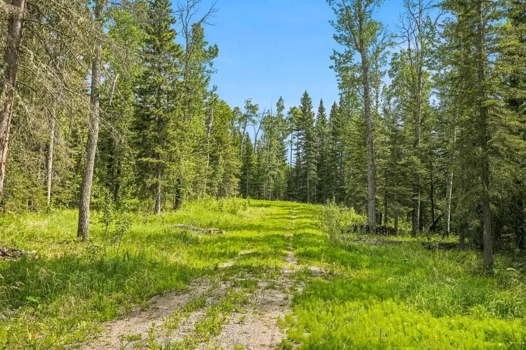 31435 Range Road 62 Rural Mountain View County AB T0M1X0