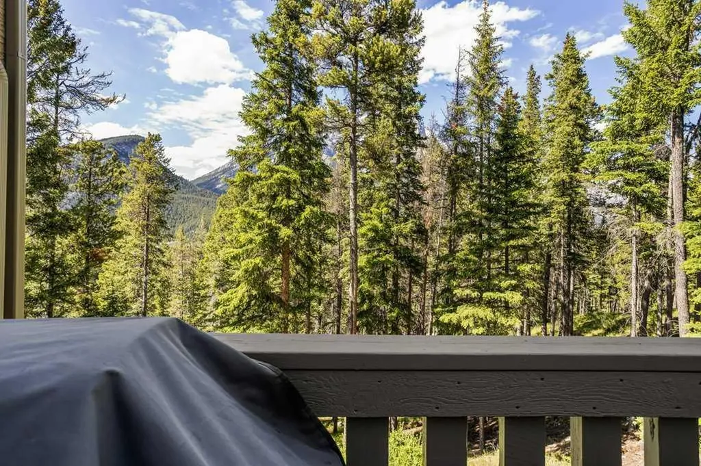 2 Otter Lane Banff AB T1L 1B9