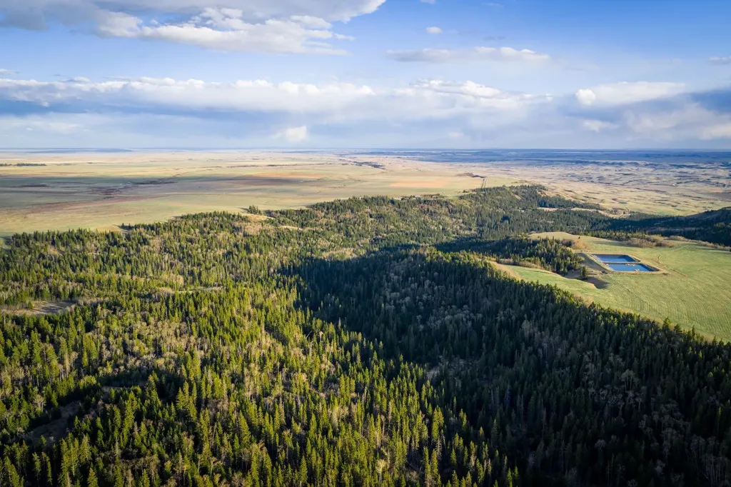 3208 Township Road 75 Rural Cypress County AB T0J1V0