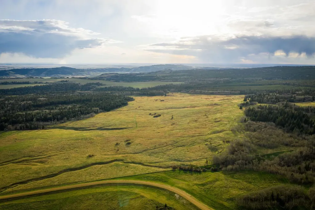 3208 Township Road 75 Rural Cypress County AB T0J1V0