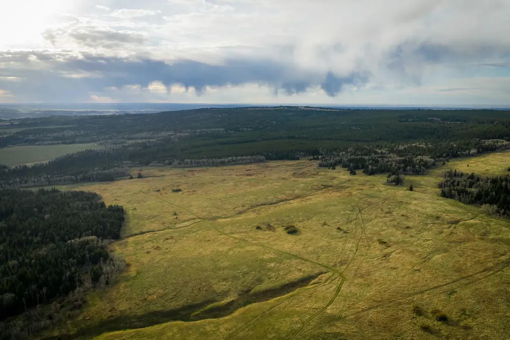 3208 Township Road 75 Rural Cypress County AB T0J1V0