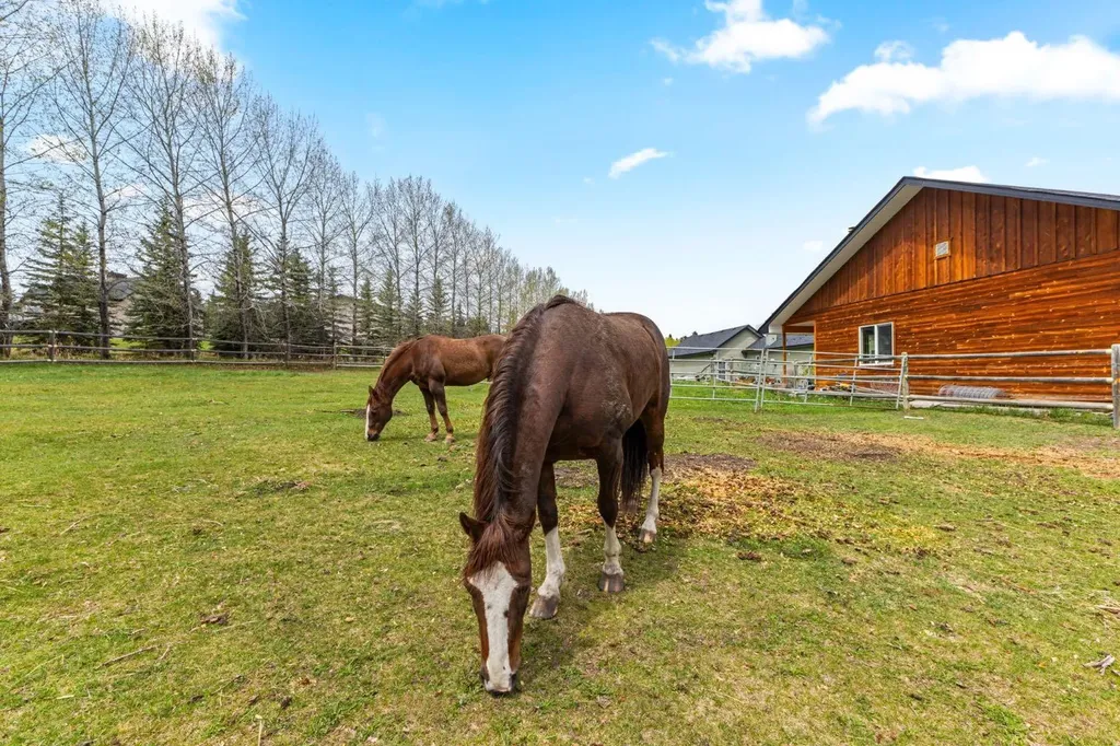 288017 160 Avenue W Rural Foothills County AB T0L 1W2